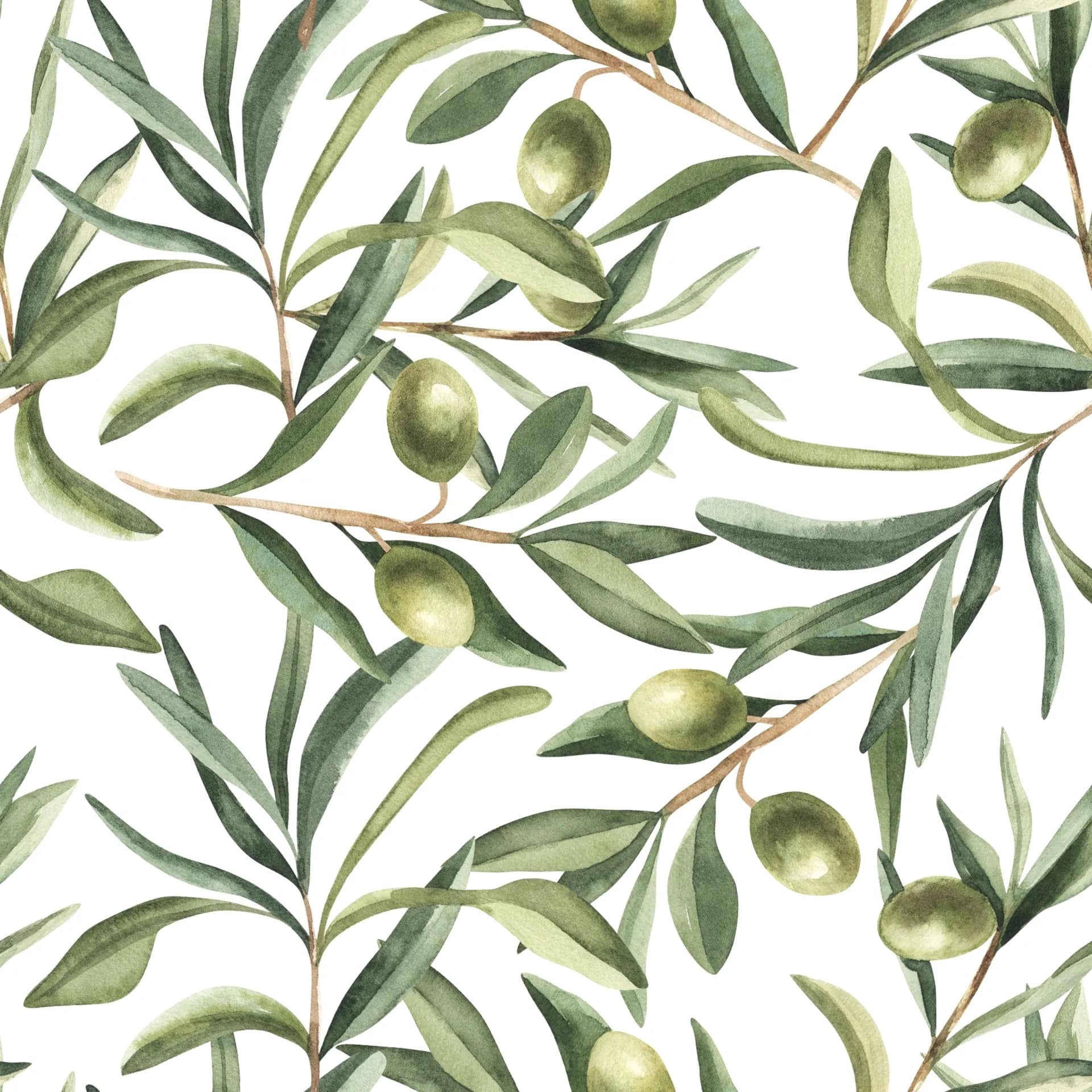 Olive Leaves